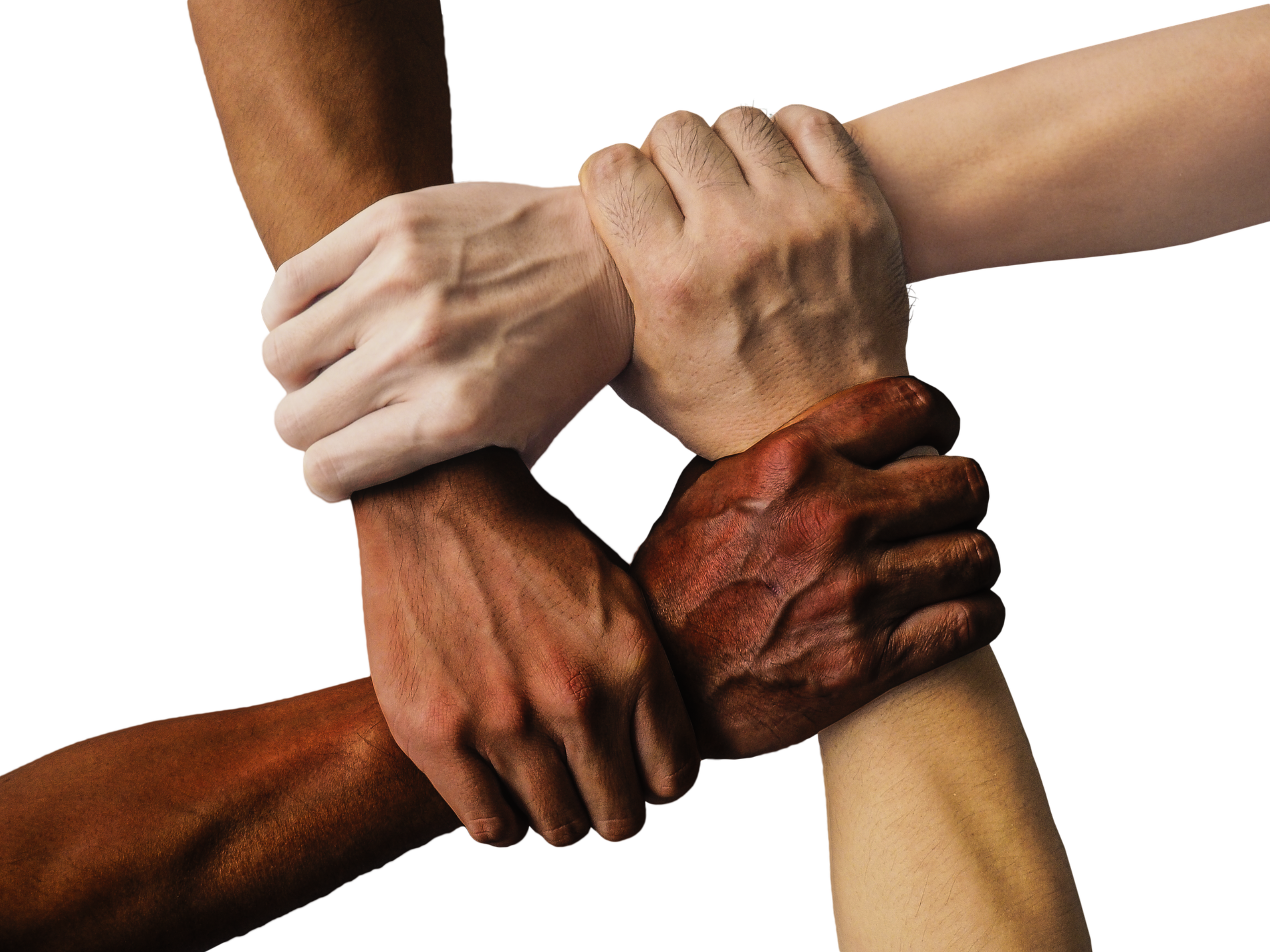 solidarité
