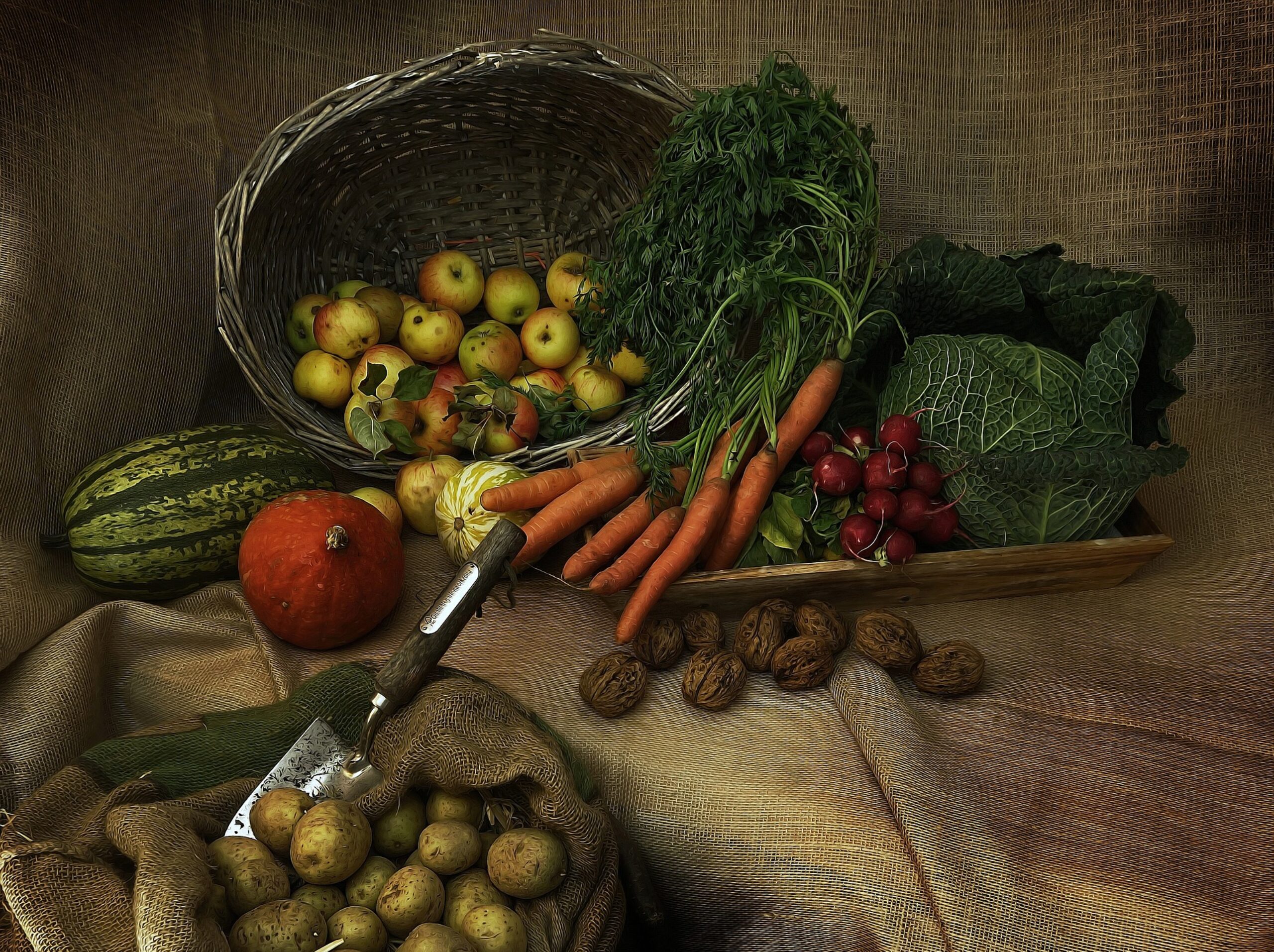 alimentation