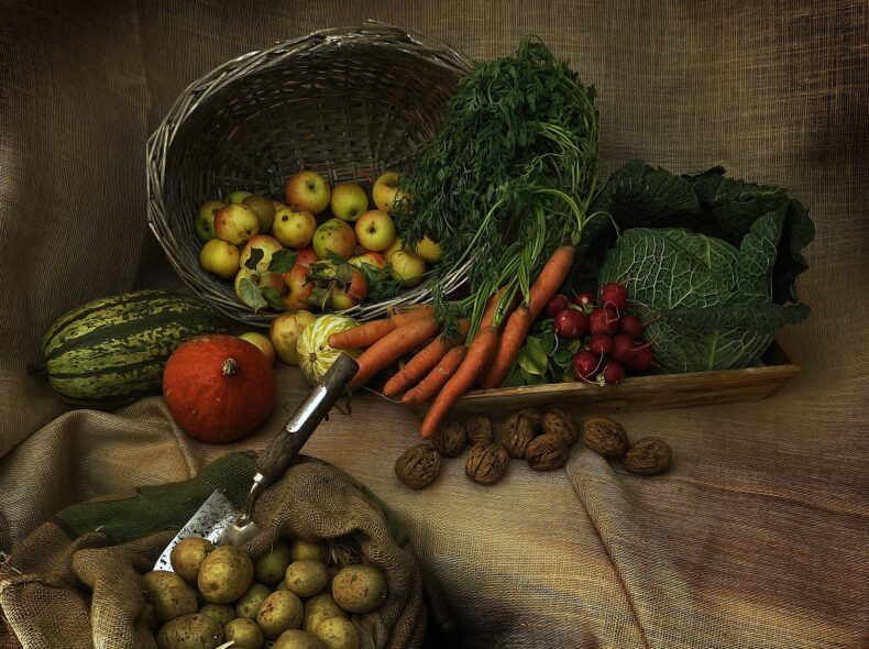 alimentation