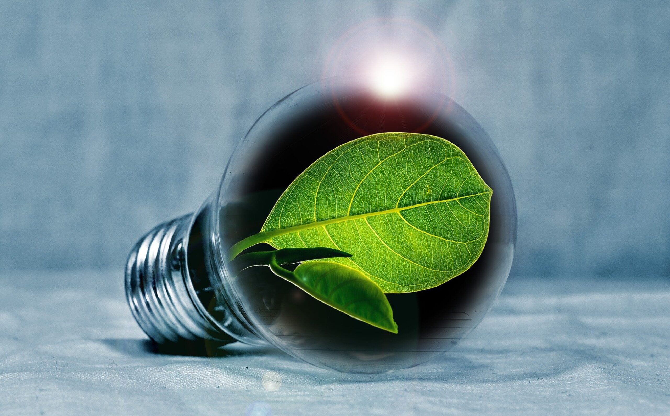 économies d'énergie