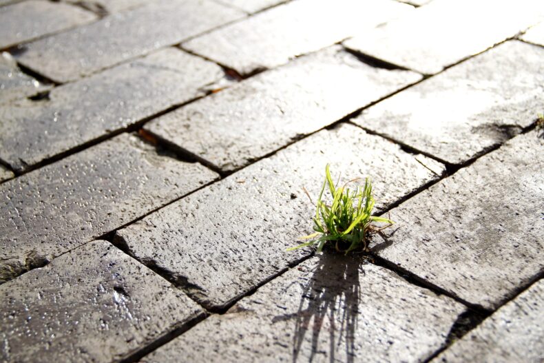 urbanisme durable