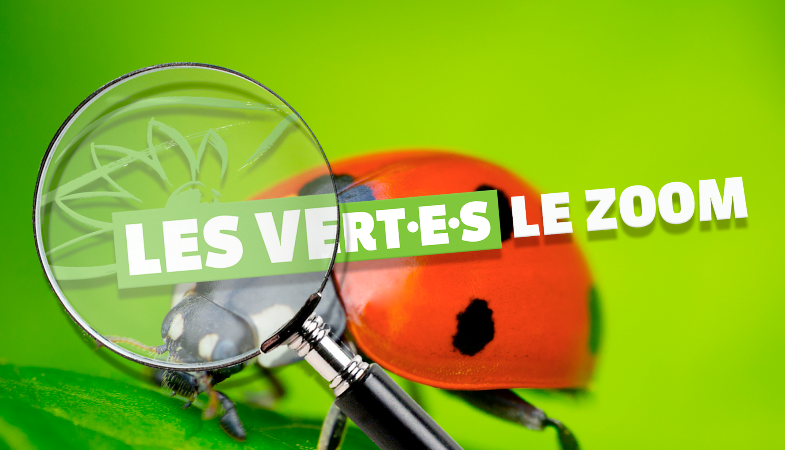 le zoom