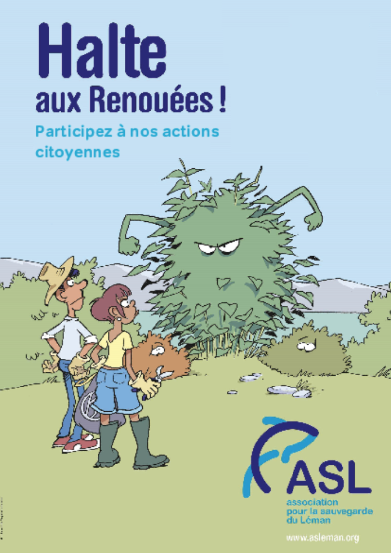 ASL - Halte aux Renouées