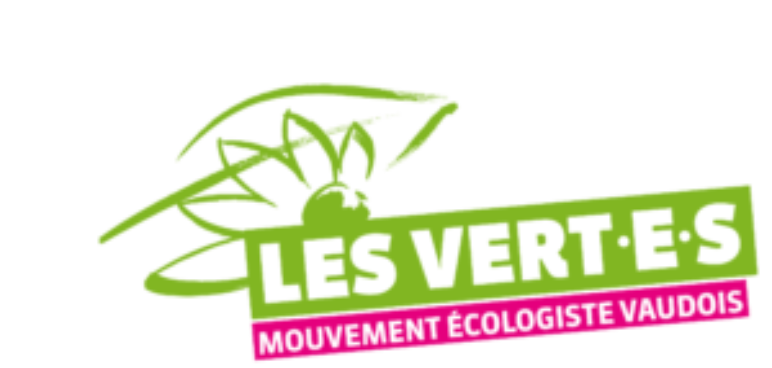 Logo vert-e-s